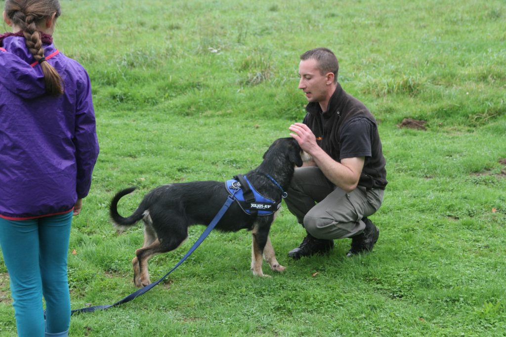 Educateur canin - cours éducation canine - dressage chien Educateur canin - cours éducation canine - dressage chien