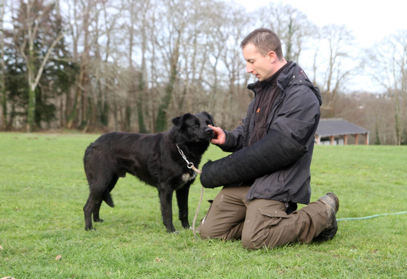 Comportementaliste canin – Quimper Lorient Finistère Morbihan Bretagne