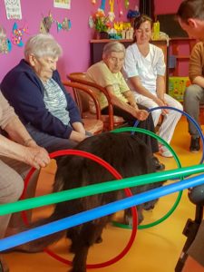 Activité assistée par l'animal (AAA)