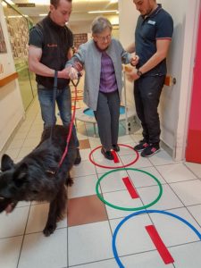 Thérapie assistée par l'animal (TAA) ou Animo'forme