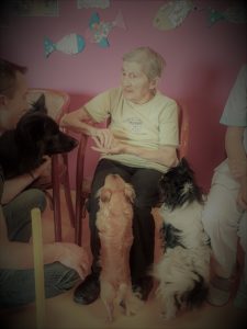Zoothérapie et médiation animale 29 en Bretagne