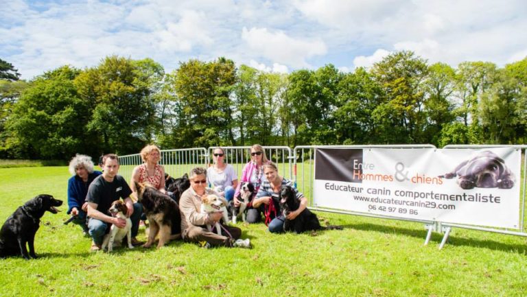 Educateur canin - Comportementaliste canin - Dressage de chien