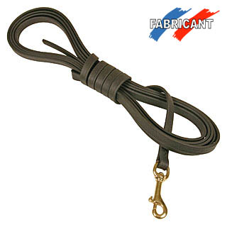 Accessoire pour chien Longe biothane quimper