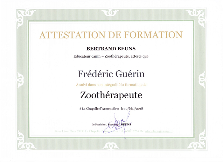 Zoothérapeute-attestation-800x580