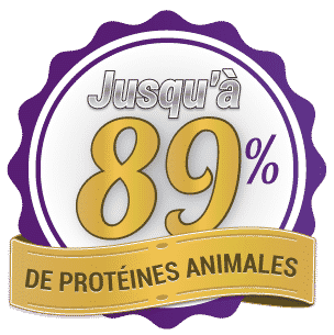 Croquettes riche en viande